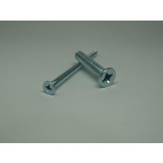 Süllyesztett fejű metrikus csavar